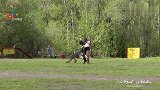 宠物狗比赛,这只牧羊犬太聪明了!训犬师和狗狗沟通无障碍