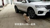 大衣哥凌晨5点低调出行，只有几个亲信送行，实属罕见！
