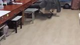 同样都是宿舍，这差别也太大了，网友另一个是猪圈吗