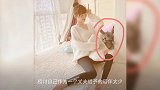 李小璐贾乃亮离婚:如果原谅太难,那就放过自己