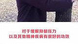 抱大树原来这么好！你学会了吗？