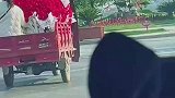 路遇三轮车载巨型玫瑰，哪个姑娘这么幸福？
