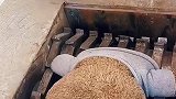 把玩具扔进粉碎机里