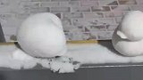 男子看到可爱的小雪人，接下来的操作让人哭笑不得