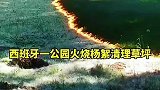 一个视频告诉你杨絮的燃烧速度有多快