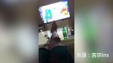 中超外援休赛期都干啥？鲁能铁卫入坑FIFA19