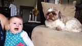 宝宝在哭，一旁狗狗的举动把宝宝气坏了