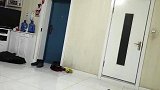 女孩高烧39°，孩子爸爸看懵了