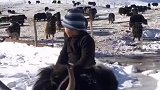 骑在牛背上小男孩