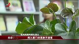 传奇：坏人变老了，心机老人四段离奇婚姻，骗取人生保障