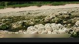 秋风纪录片：《印度洋大海啸》03