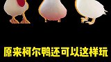 原来小鸭子还可以这样玩