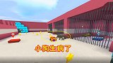 迷你世界：狗狗生病了到处乱跑，作为主人的我们好辛苦啊