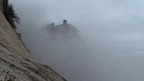 旅游-华山雨后出现罕见的云海，峰悬浮其中如泼墨山水画,陕西好游DV。