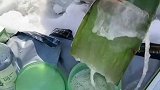 正在提取纯天然芦荟胶，芦荟胶真是个好东西
