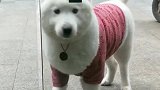 知道错了没