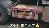 哥们吃剩的给鸡吃，鸡下蛋给哥们吃