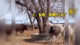 三个都懵圈了，好怕怕哟，哈哈？？