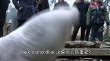 大爷家的猪很稀奇，生来就只有两条腿，土豪出10万都不卖！