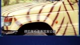 3个动物照镜子的滑稽反应