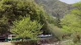 踏青途中遇堵车，一家人就地野餐羡煞旁人