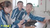 短剧：女同学带玉兔上课，不料玉兔拥有透视眼，把同学都看羞了