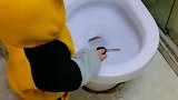 一个马桶都让熊孩子玩的这么开心！