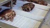 鲜活面包蟹蒸完速冻，鲜味保持更加持久