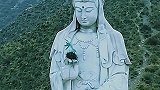 这个是我见过最牛的燕窝了！