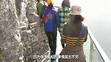 曾经受大众喜欢的玻璃栈道，如今为何成了“偷窥桥”？