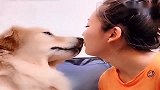 狗狗晚上约会出去吃饭，被提醒小心被骗，热恋期中狗狗太逗了！