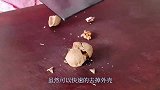 核桃也有新吃法，真是没有做不到的只有想不到的！看看是怎么做的