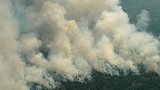 亚马逊雨林大火连烧3个星期 原住民：愿为森林流尽最后一滴血