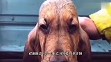敢跟老娘斗舞，我在舞坛那是有一定地位的