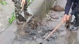 这就是村干部的功劳，当初每家掏600修建沟渠