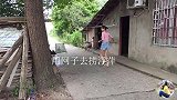 鱼塘里长满了浮萍，家里鸡鸭养得多，可以充分利用资源