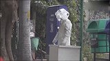 恶作剧，男子在街头扮成雕像，把经过的路人整蛊了