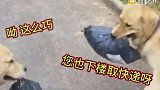 生活不易，要取快递