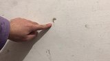白墙脏了很难看，教你不用一滴水，快速去除墙上各种痕迹