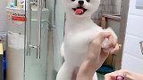 你的颜值太出众了