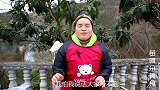 苗大姐做个豪华花甲粉，大砂锅粉吃太香，比猪吃饭声音还大