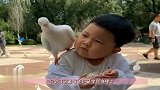 萌宝去广场喂鸽子，不料被鸽子飞到肩膀上，接下来萌宝的反应太逗