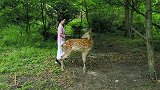鹿碗儿教你做韭菜豆腐干