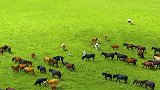 跟我去东北吧，一起探寻北国风光~