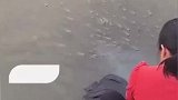 广东潮州：女子河边洗衣服 引来鱼群围观