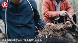 农村小伙发现“满身盔甲”的生物，走近一看，脸色都变了！