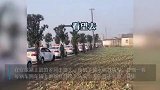 双证到手！女学员嫁给驾校教练：20辆教练车组成婚车车队