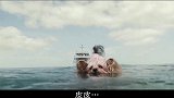 巨齿鲨：海上婚礼狗狗跳进海里游泳，突遇鲨鱼惊险时刻