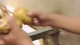 这只河马非常挑食，喂食物不吃