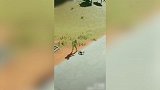 这个兄弟不按套路出牌 还偷我这个穷乞丐的锅